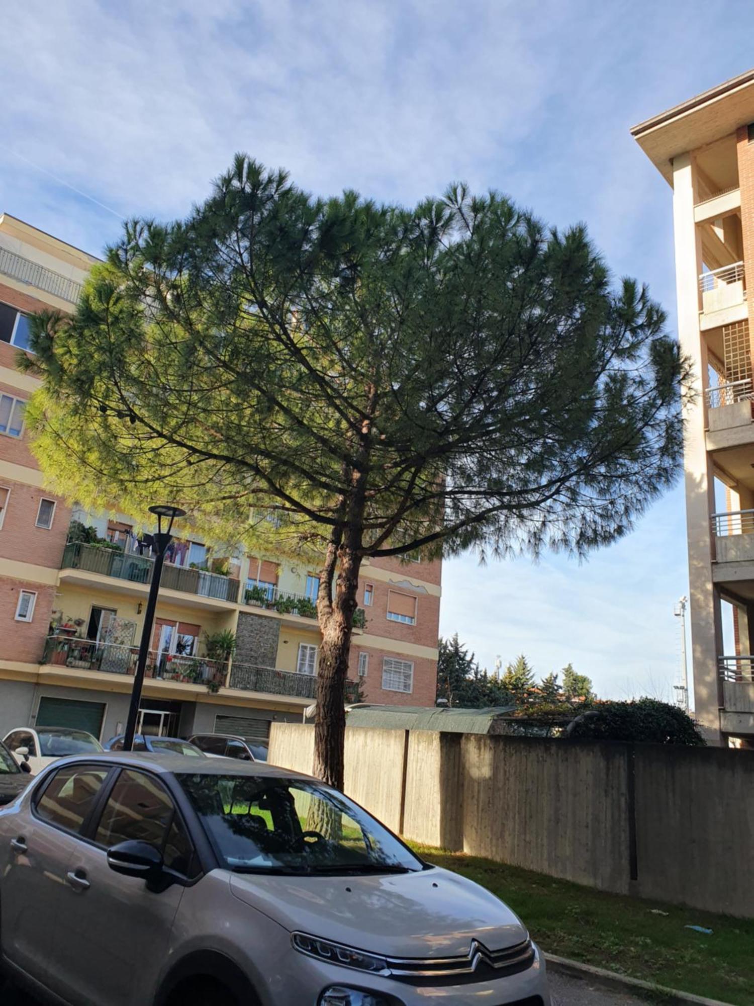 Appartamento Di Delfina Pescara Ngoại thất bức ảnh